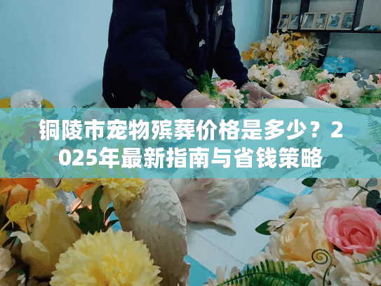 铜陵市宠物殡葬价格是多少？2025年最新指南与省钱策略