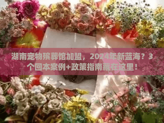 湖南宠物殡葬馆加盟,2024年新蓝海?3个回本案例+政策指南藏在这里! 湖南宠物殡葬馆加盟,2024年新蓝海?3个回本案例+政策指南藏在这里!