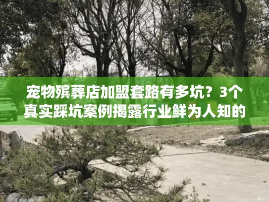 宠物殡葬店加盟套路有多坑？3个真实踩坑案例揭露行业鲜为人知的猫腻