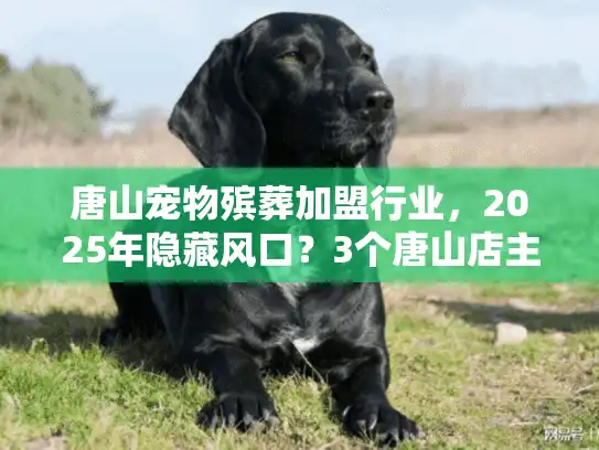 唐山宠物殡葬加盟行业,2025年隐藏风口?3个唐山店主实战案例揭露赚钱逻辑! 唐山宠物殡葬加盟行业,2025年隐藏风口?3个唐山店主实战案例揭露赚钱逻辑!