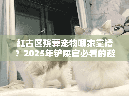 红古区殡葬宠物哪家靠谱？2025年铲屎官必看的避坑指南