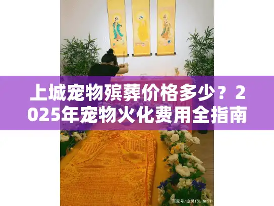 上城宠物殡葬价格多少？2025年宠物火化费用全指南