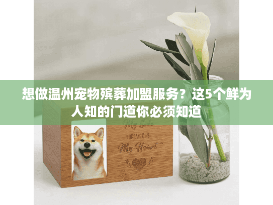 想做温州宠物殡葬加盟服务？这5个鲜为人知的门道你必须知道