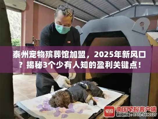 泰州宠物殡葬馆加盟，2025年新风口？揭秘3个少有人知的盈利关键点！