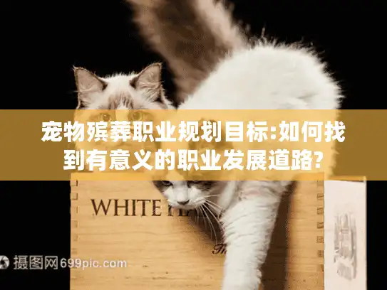 宠物殡葬职业规划目标:如何找到有意义的职业发展道路?