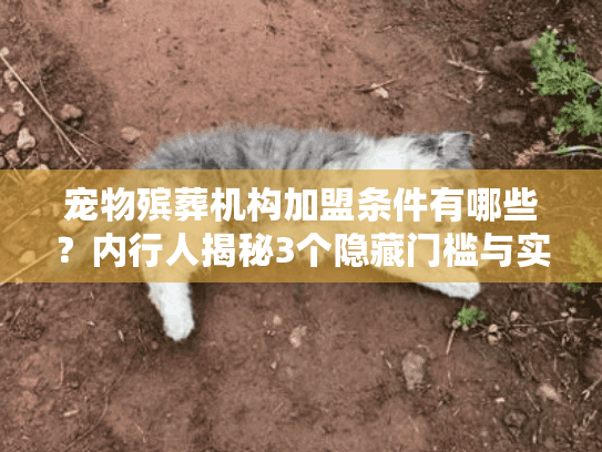 宠物殡葬机构加盟条件有哪些？内行人揭秘3个隐藏门槛与实战案例