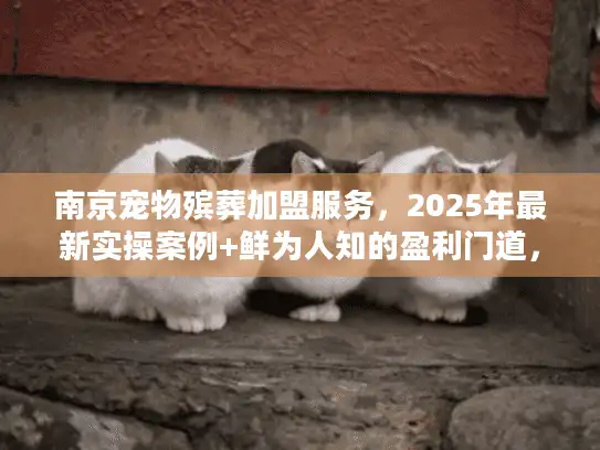 南京宠物殡葬加盟服务，2025年最新实操案例+鲜为人知的盈利门道，值得入局吗？