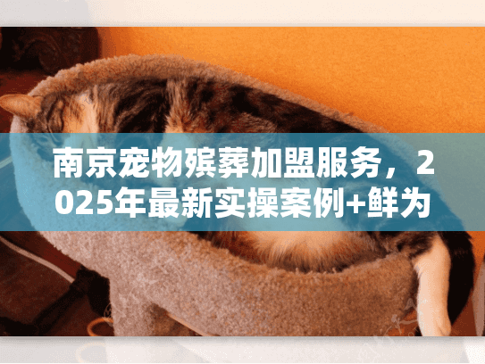 南京宠物殡葬加盟服务，2025年最新实操案例+鲜为人知的盈利门道，值得入局吗？