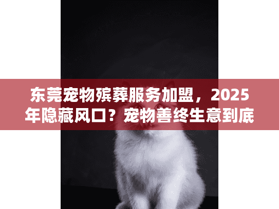 东莞宠物殡葬服务加盟，2025年隐藏风口？宠物善终生意到底有多赚钱？