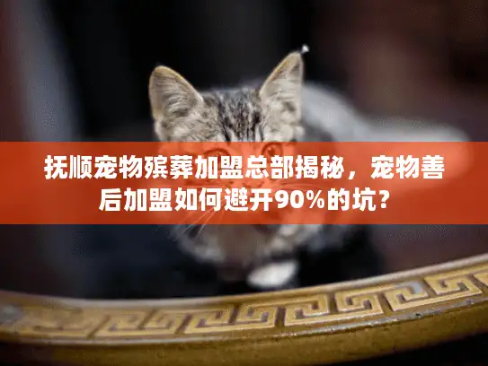 抚顺宠物殡葬加盟总部揭秘，宠物善后加盟如何避开90%的坑？