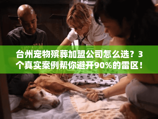 台州宠物殡葬加盟公司怎么选？3个真实案例帮你避开90%的雷区！
