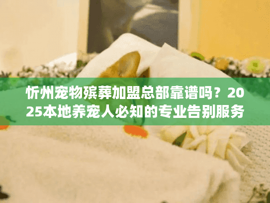 忻州宠物殡葬加盟总部靠谱吗？2025本地养宠人必知的专业告别服务真相