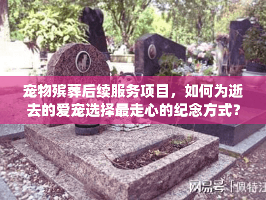 宠物殡葬后续服务项目，如何为逝去的爱宠选择最走心的纪念方式？