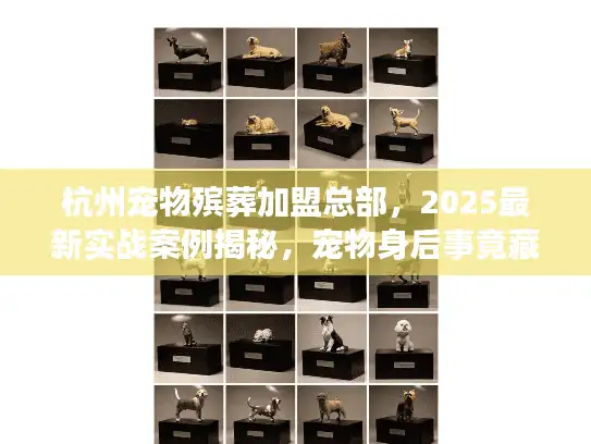 杭州宠物殡葬加盟总部，2025最新实战案例揭秘，宠物身后事竟藏这些门道？