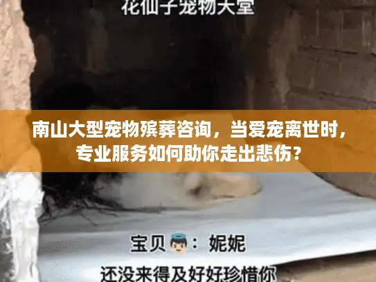 南山大型宠物殡葬咨询,当爱宠离世时,专业服务如何助你走出悲伤? 南山大型宠物殡葬咨询,当爱宠离世时,专业服务如何助你走出悲伤?