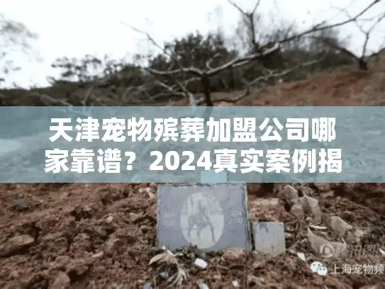 天津宠物殡葬加盟公司哪家靠谱？2024真实案例揭露行业内幕与选择技巧