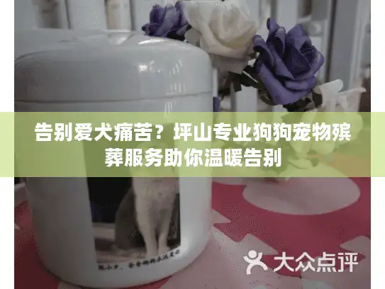 告别爱犬痛苦？坪山专业狗狗宠物殡葬服务助你温暖告别