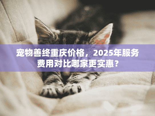 宠物善终重庆价格，2025年服务费用对比哪家更实惠？