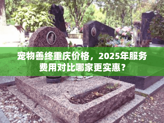 宠物善终重庆价格，2025年服务费用对比哪家更实惠？