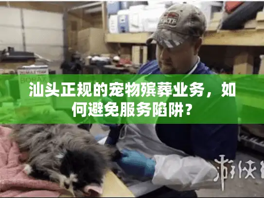 汕头正规的宠物殡葬业务，如何避免服务陷阱？