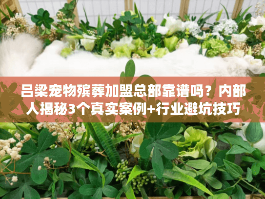 吕梁宠物殡葬加盟总部靠谱吗？内部人揭秘3个真实案例+行业避坑技巧