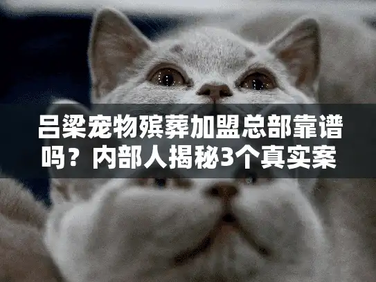 吕梁宠物殡葬加盟总部靠谱吗？内部人揭秘3个真实案例+行业避坑技巧
