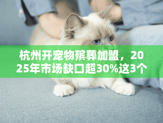 杭州开宠物殡葬加盟，2025年市场缺口超30%这3个加盟陷阱90%的人都中招？