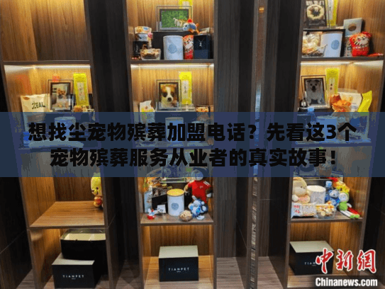 想找尘宠物殡葬加盟电话？先看这3个宠物殡葬服务从业者的真实故事！