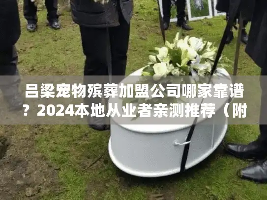 吕梁宠物殡葬加盟公司哪家靠谱？2024本地从业者亲测推荐（附避坑指南）