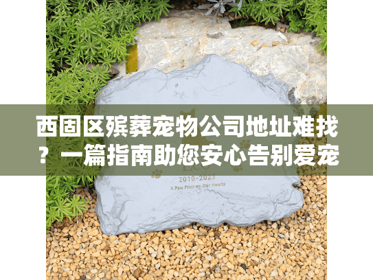 西固区殡葬宠物公司地址难找？一篇指南助您安心告别爱宠