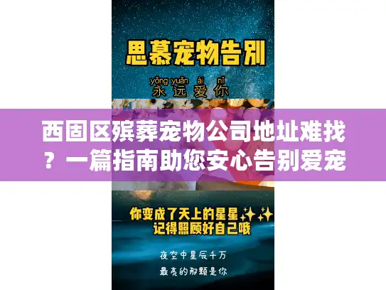 西固区殡葬宠物公司地址难找？一篇指南助您安心告别爱宠