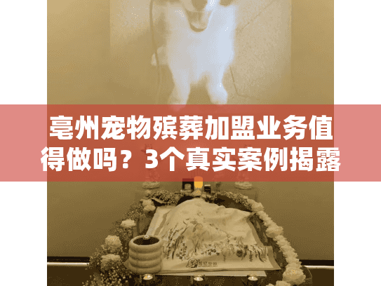 亳州宠物殡葬加盟业务值得做吗？3个真实案例揭露行业隐藏机会