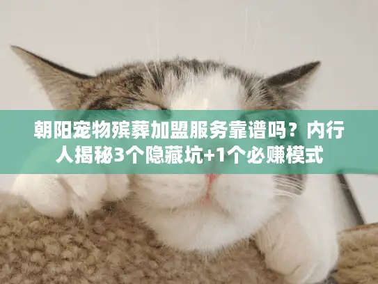 朝阳宠物殡葬加盟服务靠谱吗？内行人揭秘3个隐藏坑+1个必赚模式