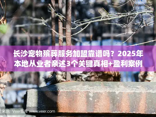 长沙宠物殡葬服务加盟靠谱吗？2025年本地从业者亲述3个关键真相+盈利案例
