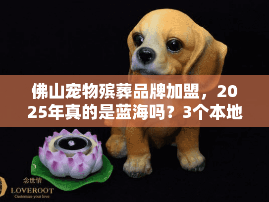 佛山宠物殡葬品牌加盟，2025年真的是蓝海吗？3个本地实战案例揭秘赚钱逻辑