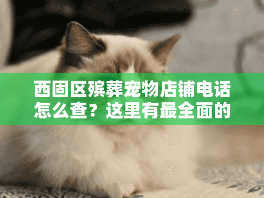 西固区殡葬宠物店铺电话怎么查?这里有最全面的服务指南 西固区殡葬宠物店铺电话怎么查?这里有最全面的服务指南