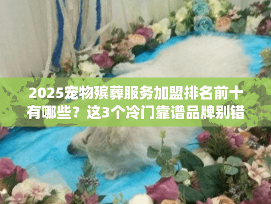 2025宠物殡葬服务加盟排名前十有哪些？这3个冷门靠谱品牌别错过！