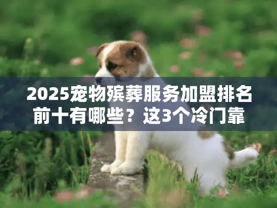 2025宠物殡葬服务加盟排名前十有哪些？这3个冷门靠谱品牌别错过！