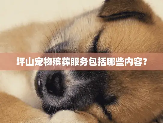 坪山宠物殡葬服务包括哪些内容？