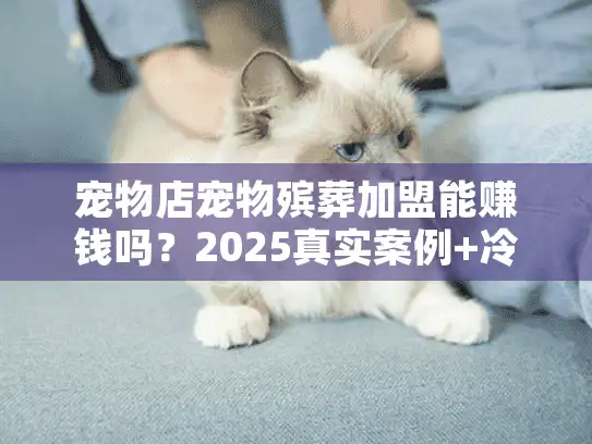 宠物店宠物殡葬加盟能赚钱吗？2025真实案例+冷门盈利点全曝光