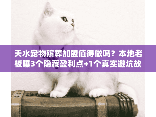 天水宠物殡葬加盟值得做吗？本地老板曝3个隐藏盈利点+1个真实避坑故事