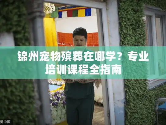 锦州宠物殡葬在哪学？专业培训课程全指南
