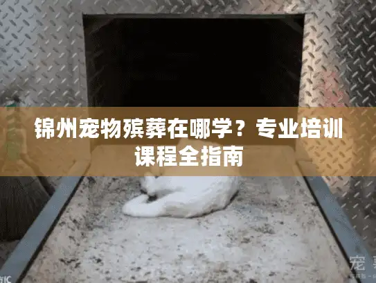 锦州宠物殡葬在哪学？专业培训课程全指南