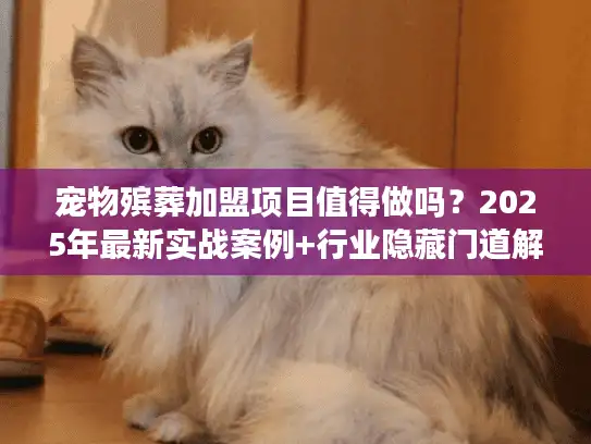 宠物殡葬加盟项目值得做吗？2025年最新实战案例+行业隐藏门道解析