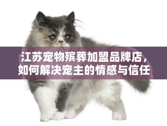 江苏宠物殡葬加盟品牌店，如何解决宠主的情感与信任难题？