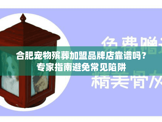 合肥宠物殡葬加盟品牌店靠谱吗？专家指南避免常见陷阱