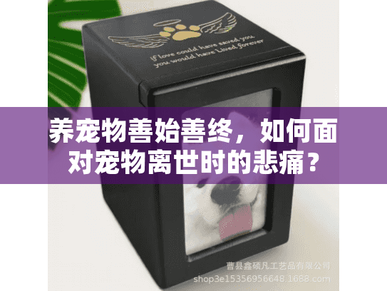 养宠物善始善终，如何面对宠物离世时的悲痛？