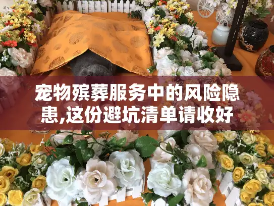 宠物殡葬服务中的风险隐患,这份避坑清单请收好