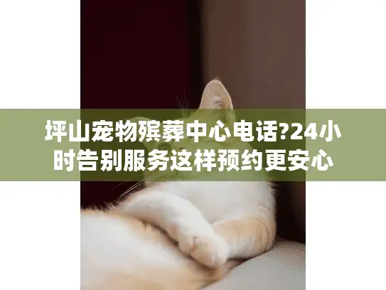 坪山宠物殡葬中心电话?24小时告别服务这样预约更安心