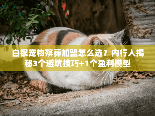 白银宠物殡葬加盟怎么选？内行人揭秘3个避坑技巧+1个盈利模型